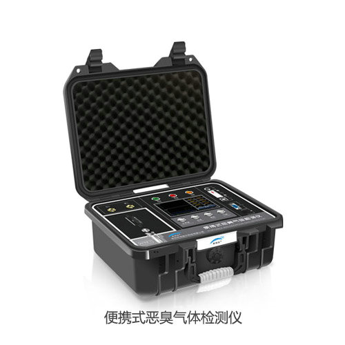 便携式恶臭气体检测仪
