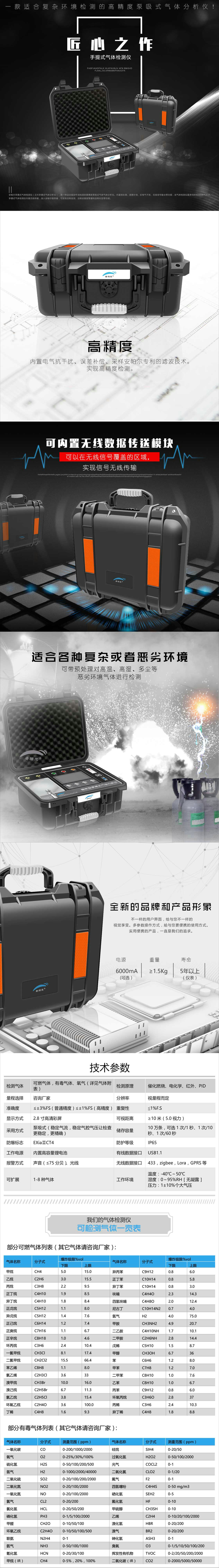 手提式气体检测仪(网络版)