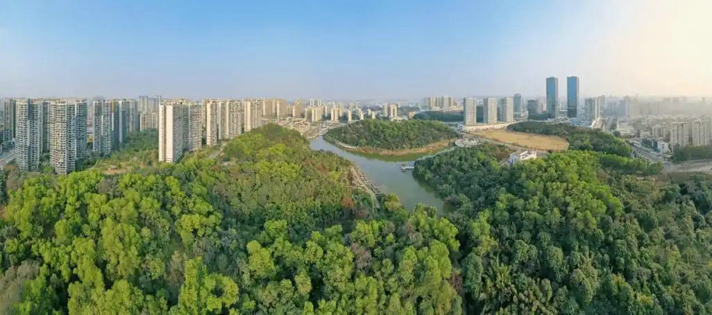 “三进三同”携手共进，江门站助力区县监测见成效