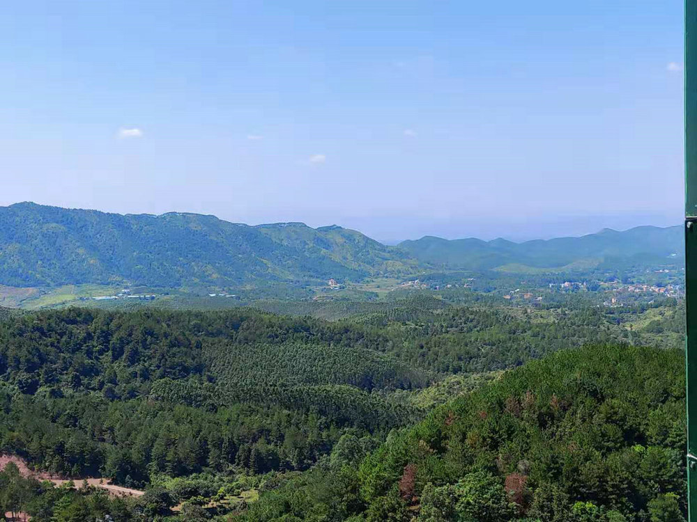 享受美丽的自然风景